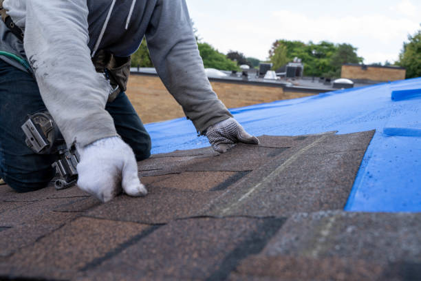 Best Roof Moss and Algae Removal  in Liberty, KY